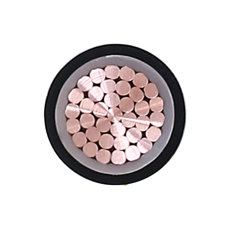 정격 전압 450/750V용 EV 충전 케이블