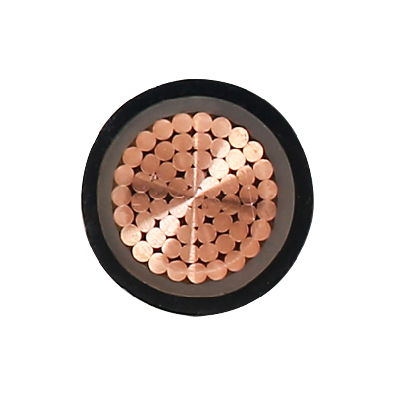 정격 전압 450/750V용 EV 충전 케이블