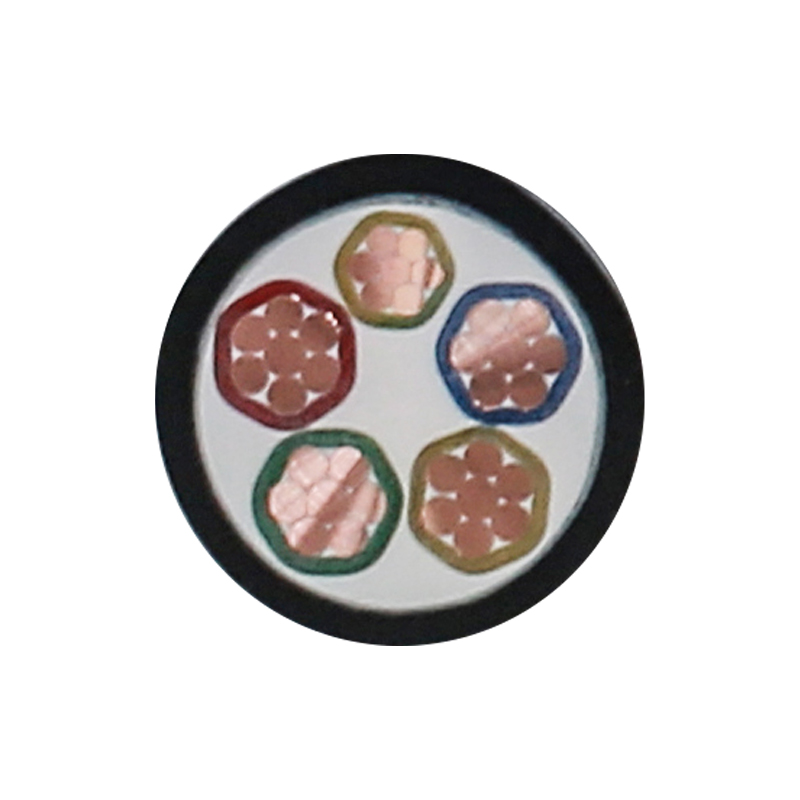 정격 전압 450/750V용 EV 충전 케이블