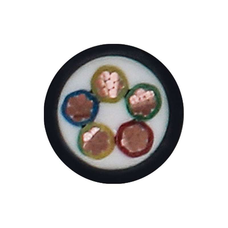 정격 전압 450/750V용 EV 충전 케이블