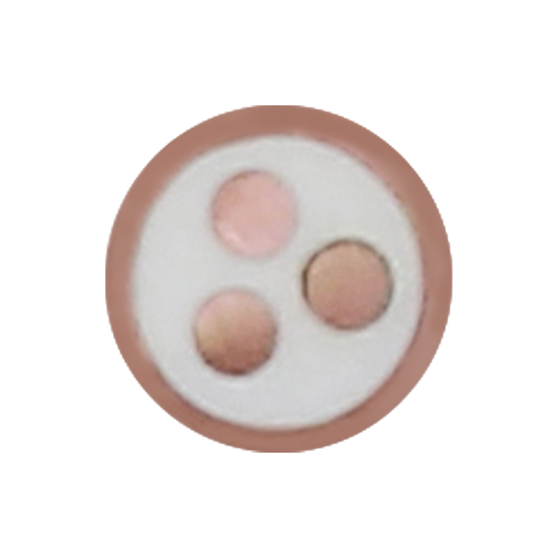 정격 전압 450/750V용 EV 충전 케이블