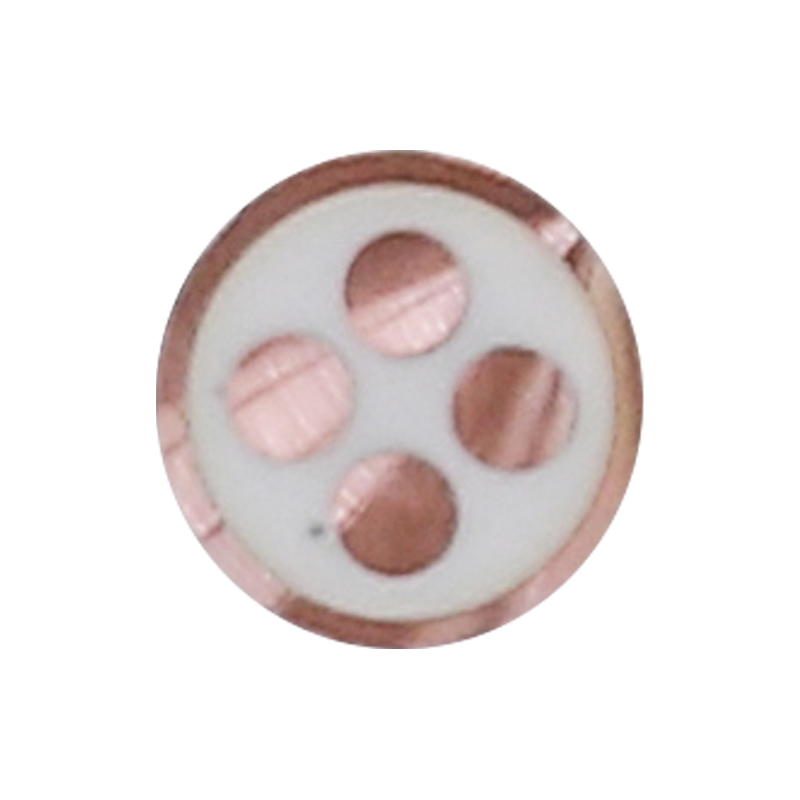 정격 전압 450/750V용 EV 충전 케이블