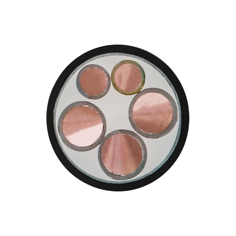 정격 전압 450/750V용 EV 충전 케이블