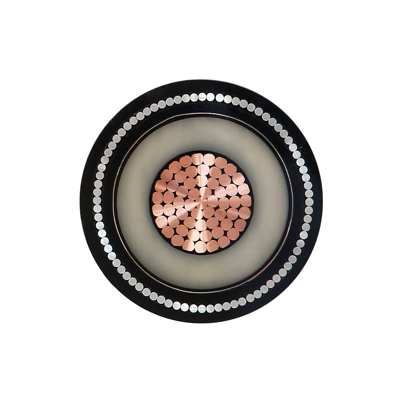 정격 전압 450/750V용 EV 충전 케이블